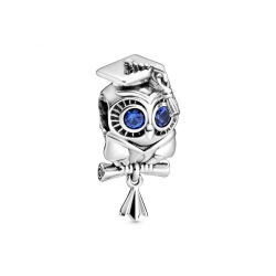 Pandora Charm 798907C01