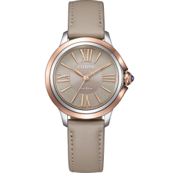 Citizen Uhren EM1166-01Z