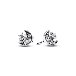 Pandora Ohrstecker 292990C01