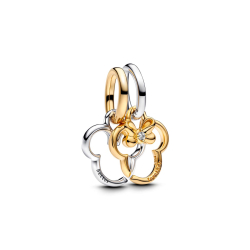 Pandora Charm 763650C01