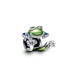 Pandora Charm 793342C01