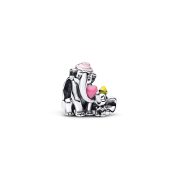 Pandora Charm 793751C01