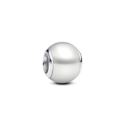 Pandora Charm 793781C01