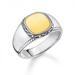 Thomas Sabo Ring TR2292-966-39