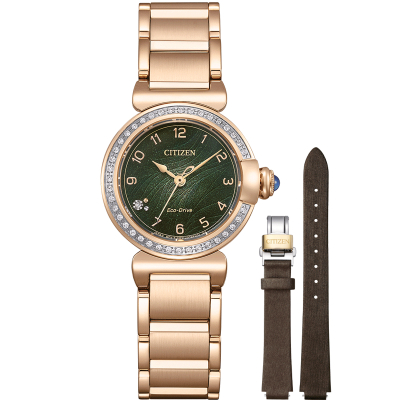 Citizen Uhren EM1123-62X