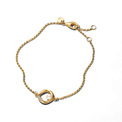 Pandora Armband 563830C01