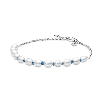 Pandora Armband 591689C01