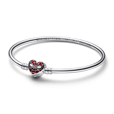 Pandora Armband 592324C01