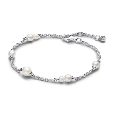 Pandora Armband 593172C01