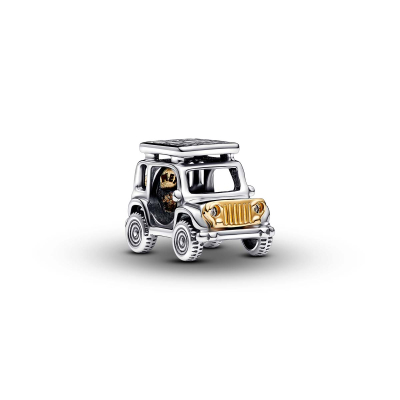 Pandora Charm 763330C01