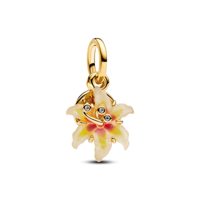 Pandora Charm 764020C01