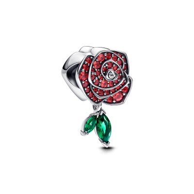 Pandora Charm 793201C02