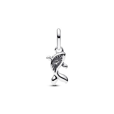 Pandora Charm 793863C01