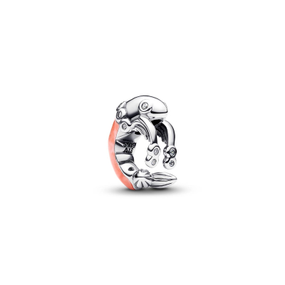 Pandora Charm 793896C01