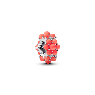 Pandora Charm 793897C01