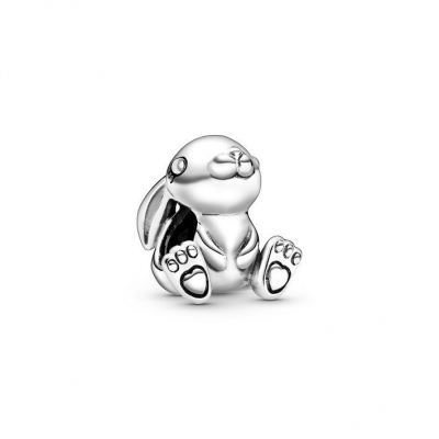 Pandora Charm 798763C00
