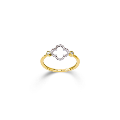 Palido Ring K13786G