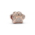 Pandora Charm - Paw - 781714C01