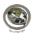 Quoins Charm - Münze - Eye of the Tiger - QMOK-03L-G-GL