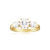 SIF Jakobs Ring - SJ-R2340-CZ-YG