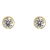 Schneider Basic Ohrstecker - Gold – Zylinder mit Zirkon groß - ZS11