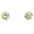 Schneider Basic Ohrstecker - Gold - Blumen mit Zirkon - ZS25