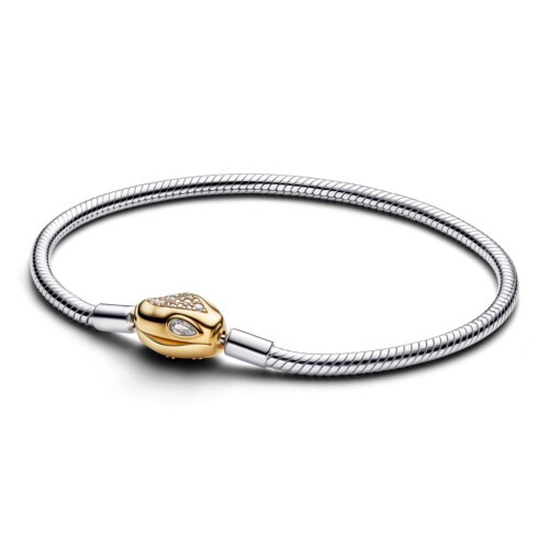 Pandora Armband - 563683C01