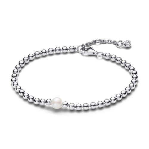 Pandora Armband - 593173C01