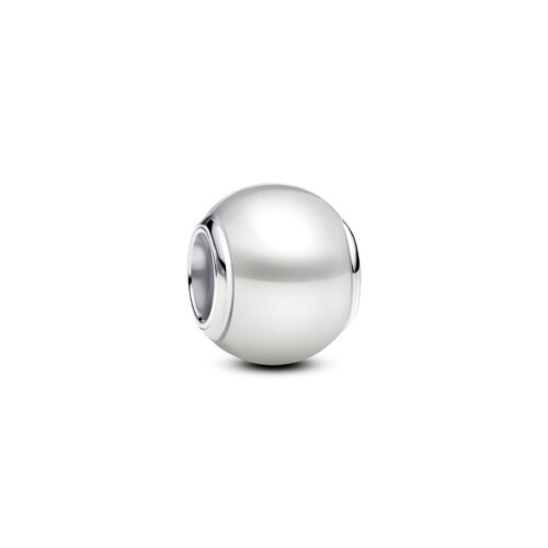 Pandora Charm - 793781C01
