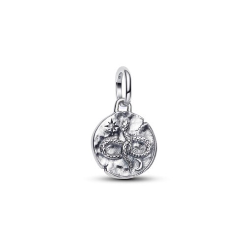 Pandora Charm - 793976C01