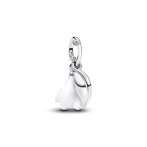 Pandora Charm - 794239C01