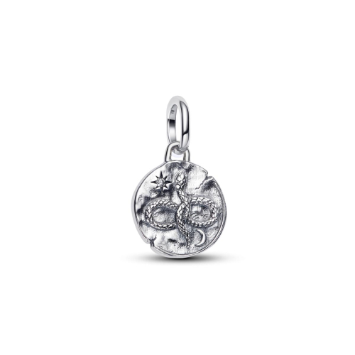 Pandora Charm - 793976C01