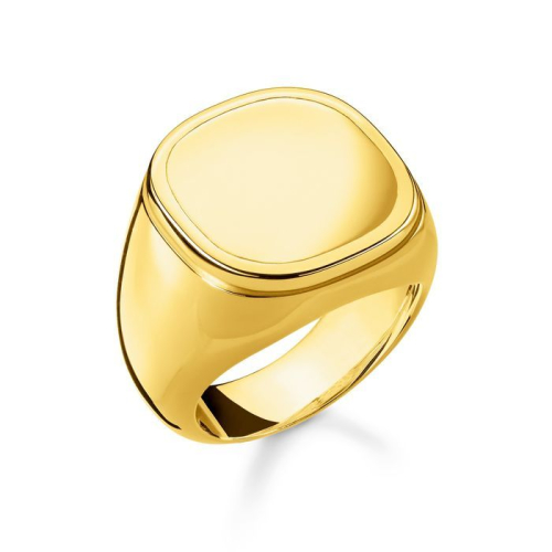 Thomas Sabo Ring - Rebel at Heart - Classic - TR2249-413-39