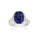 Ellisse Grande - SJ-R2342-BLCZ