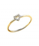 Gelbgold - 21300022