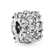 Klares Funkeln Charm - 798487C01