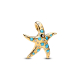 Starfish - 763818C01