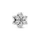 Sparkling Herbarium - 792623C01