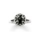 The Purity Of Lotos - TR2026-641-11