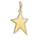 Goldener Stern - Y0040-413-39